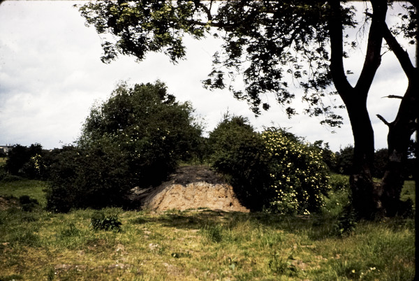 BW197-2-18-19-2 image BW197-2-18-19-2