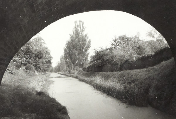 BW200-1-47-49-2 image BW200-1-47-49-2