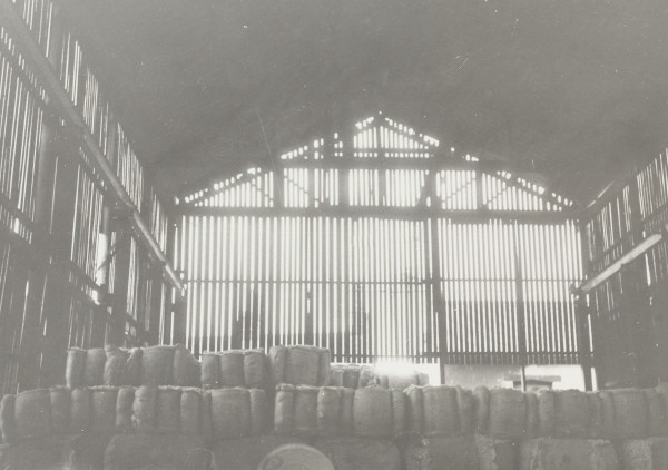 BW192-3-2-1-12-1-202 image BW192-3-2-1-12-1-202