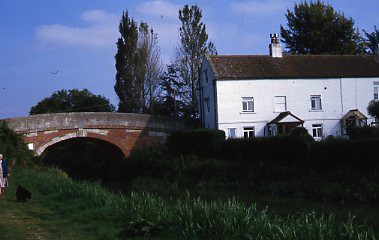 crt_wild_211 image crt_wild_211