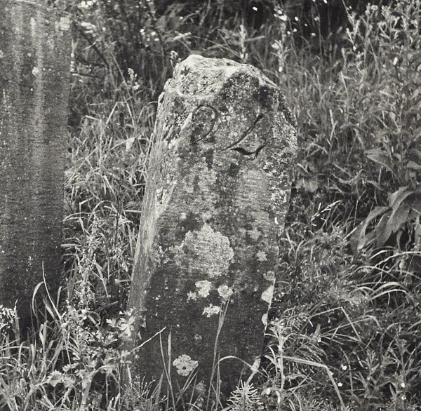 BW200-1-100-12 image BW200-1-100-12