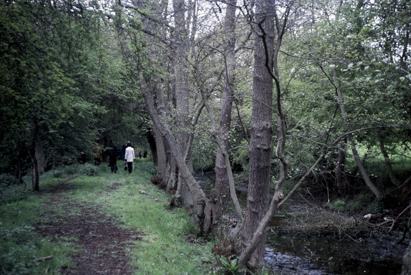 BW197-2-32-1-12 image BW197-2-32-1-12