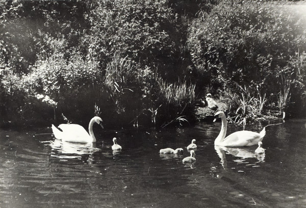 BW200-1-85-2-12 image BW200-1-85-2-12