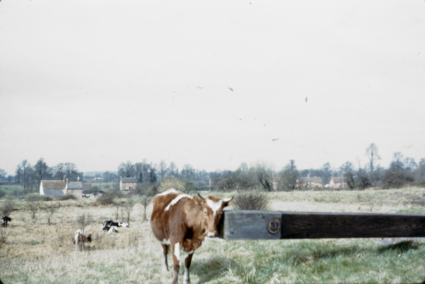 BW197-2-17-7-12 image BW197-2-17-7-12