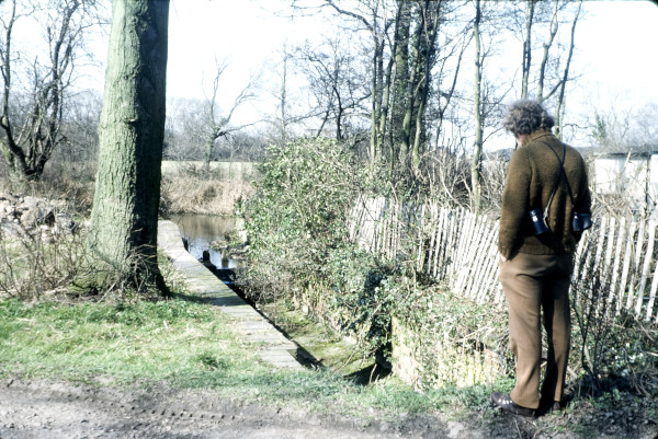 BW197-2-22-17-12 image BW197-2-22-17-12