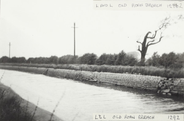 BW192-3-1-29-8-12 image BW192-3-1-29-8-12