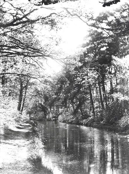 R0212 image R0212