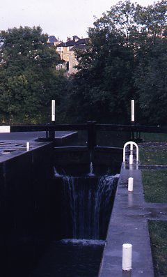 crt_wild_223 image crt_wild_223