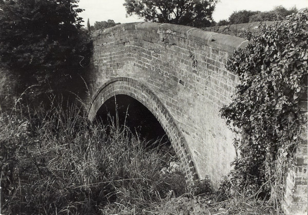 BW200-1-81-22 image BW200-1-81-22