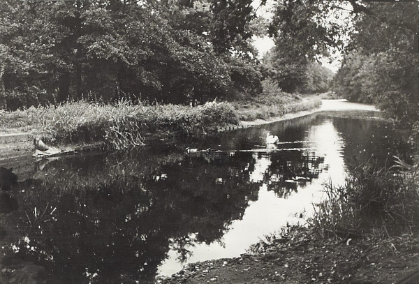 BW200-1-7-22 image BW200-1-7-22