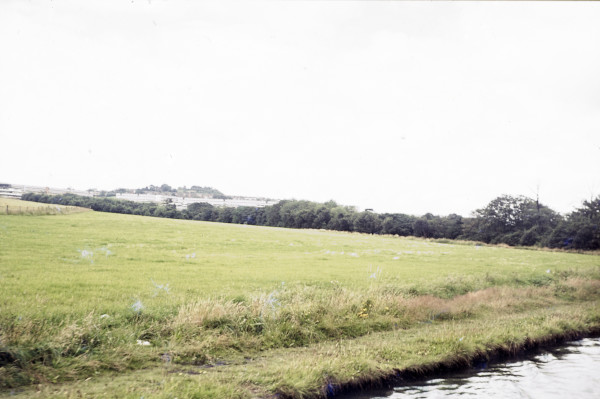 BW197-2-9-22 image BW197-2-9-22