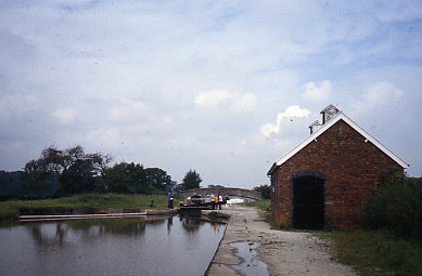 crt_wild_2 image crt_wild_2