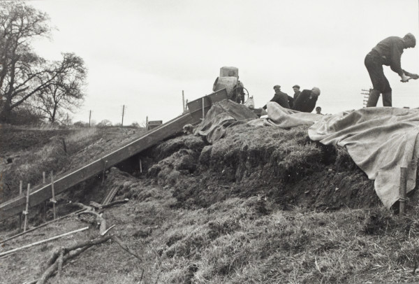 BW192-3-2-1-27-32 image BW192-3-2-1-27-32