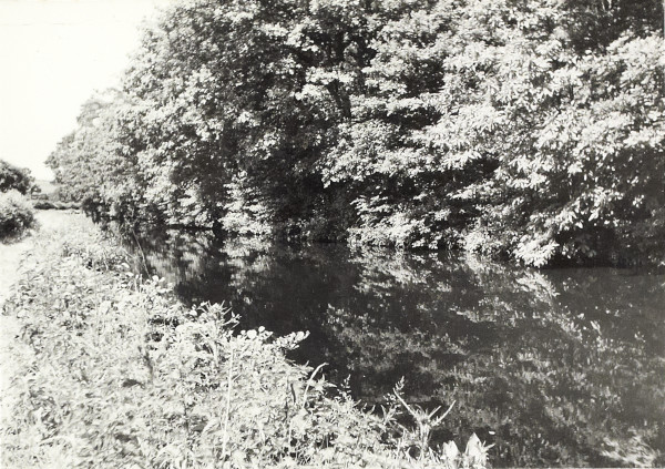 BW200-1-89-32 image BW200-1-89-32