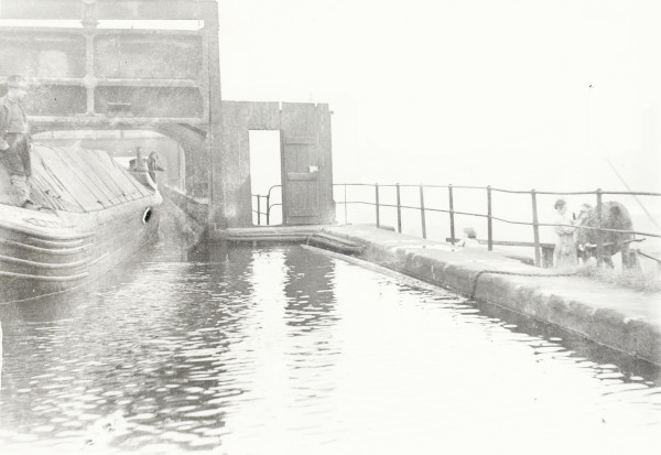 BW192-3-1-2-2-42 image BW192-3-1-2-2-42