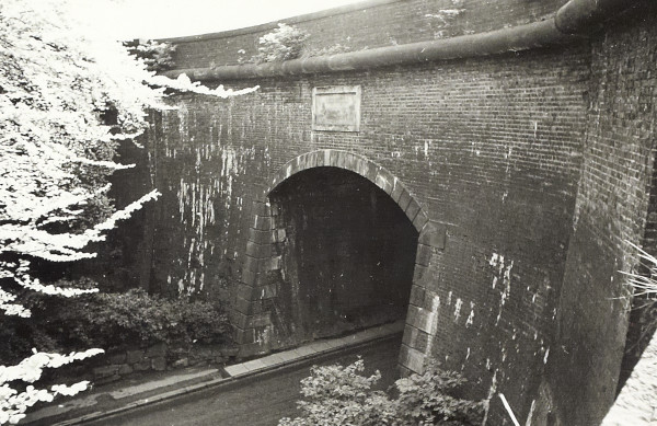 BW200-1-99-42 image BW200-1-99-42