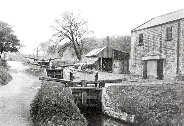 R0442 image R0442