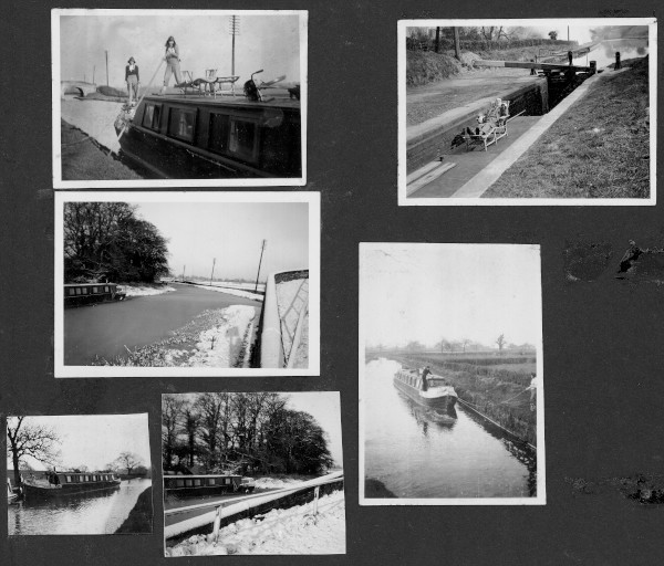 section 5 image section 5
