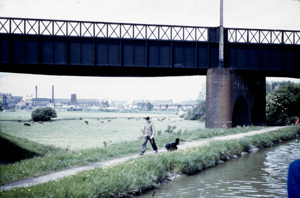 BW197-2-24-62 image BW197-2-24-62