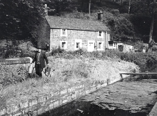 R0462 image R0462