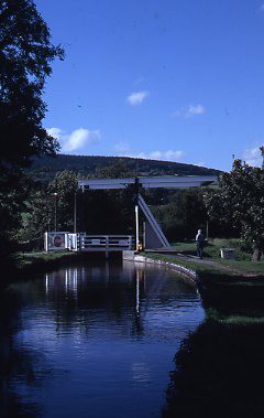 crt_wild_78 image crt_wild_78