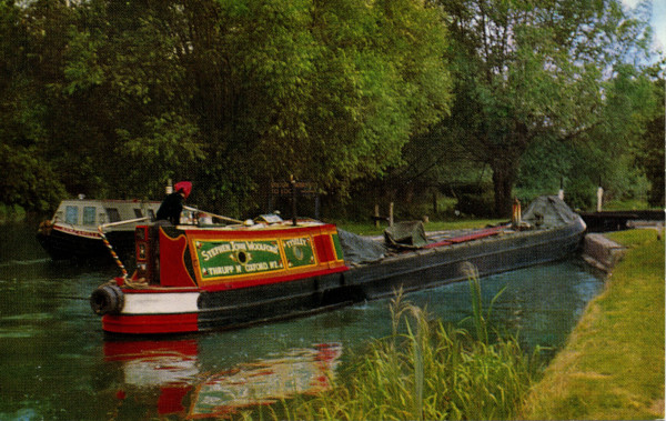 20022_0328 image 20022_0328