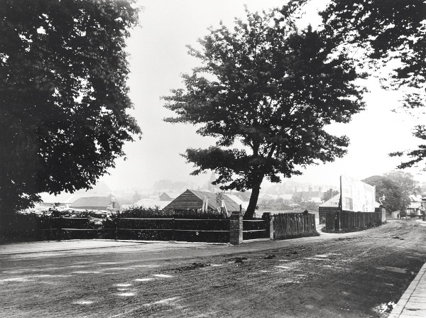 R0182 image R0182