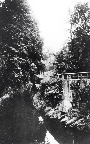 R0382 image R0382