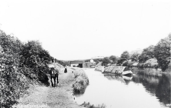 R0682 image R0682
