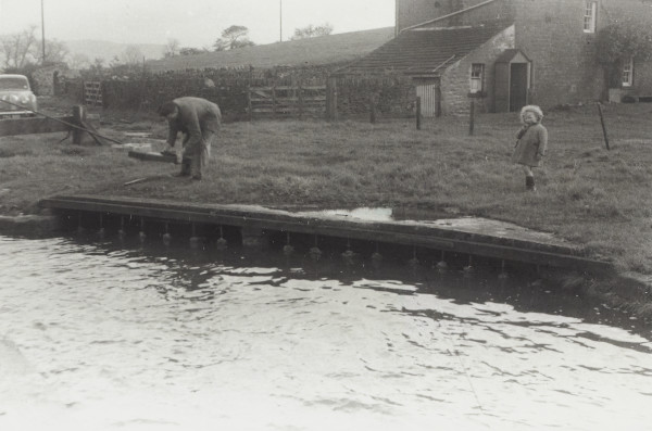 BW192-3-2-1-12-1-192 image BW192-3-2-1-12-1-192