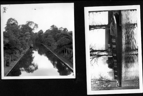 p29 image p29