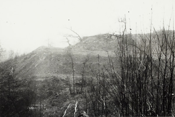 BW192-3-1-29-10-3 image BW192-3-1-29-10-3