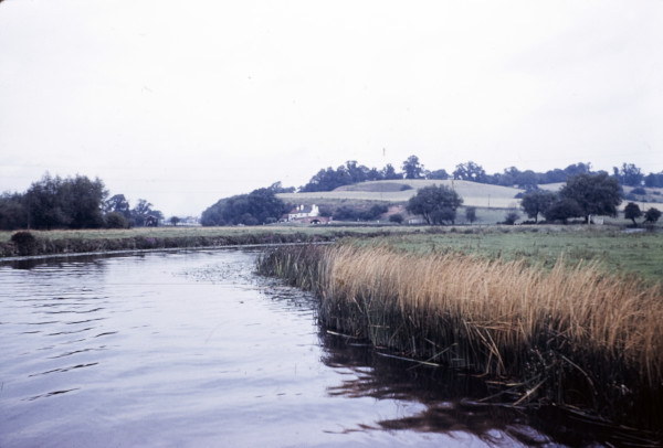 BW197-2-1-3 image BW197-2-1-3