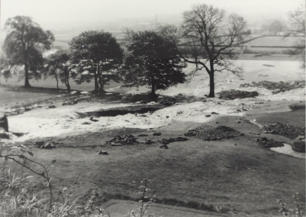 BW192-3-2-1-12-1-3 image BW192-3-2-1-12-1-3