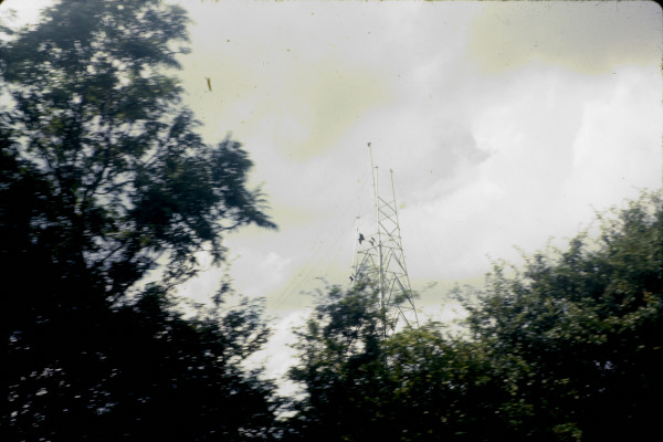 BW197-2-12-1-3 image BW197-2-12-1-3