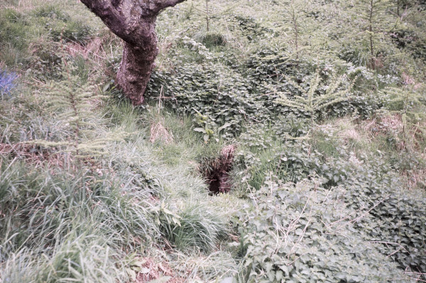 BW197-2-32-1-3 image BW197-2-32-1-3