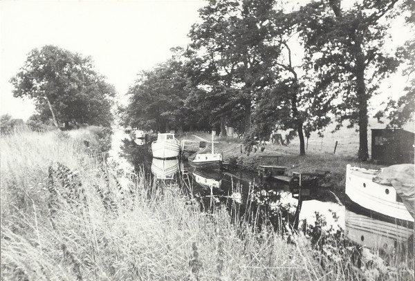 BW200-1-77-1-3 image BW200-1-77-1-3
