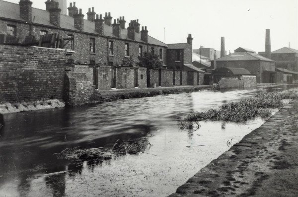 BW192-3-1-29-1-3 image BW192-3-1-29-1-3