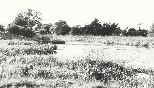 BW200-1-100-11-3 image BW200-1-100-11-3