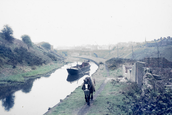 BW197-2-14-11-3 image BW197-2-14-11-3