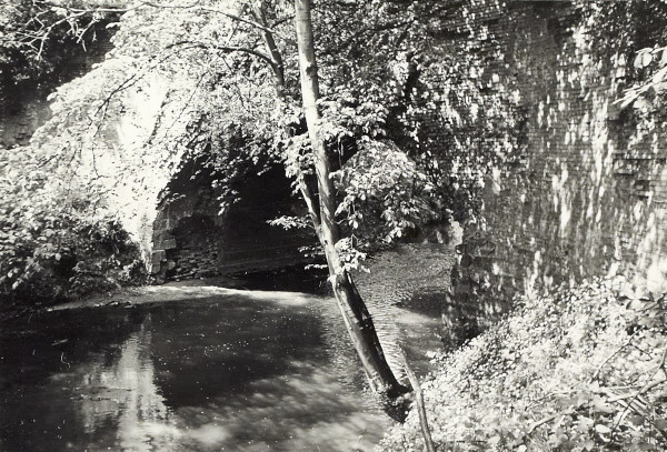 BW200-1-51-3 image BW200-1-51-3