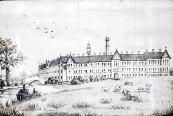 BW197-2-35-51-3 image BW197-2-35-51-3