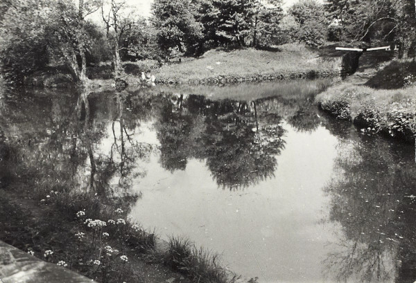 BW200-1-89-51-3 image BW200-1-89-51-3