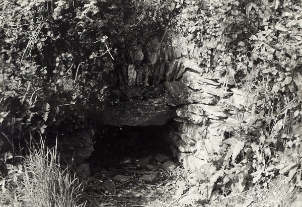 BW200-1-91-3 image BW200-1-91-3