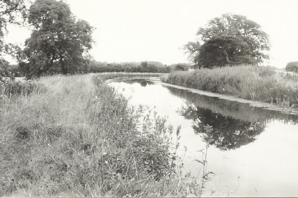 BW200-1-100-2-3 image BW200-1-100-2-3