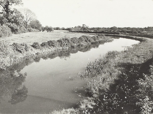 BW200-1-2-3 image BW200-1-2-3