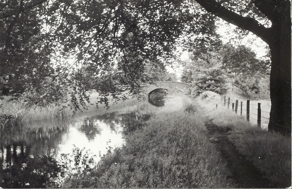 BW200-1-94-2-3 image BW200-1-94-2-3