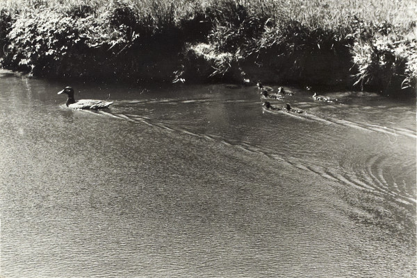 BW200-1-85-2-3 image BW200-1-85-2-3