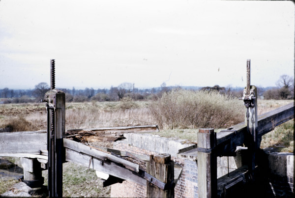 BW197-2-17-2-3 image BW197-2-17-2-3