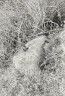 image BW200-1-16-12-3